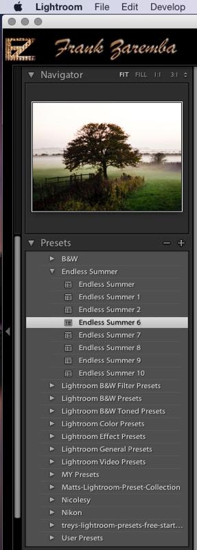Presets Presets can be added to Lightroom and used as a one click adjustment to the image. Scrolling over a Preset show what the impact to the image will be.
