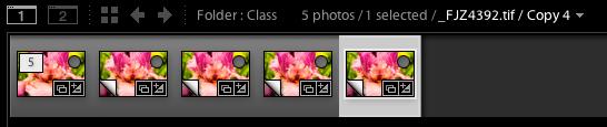 Virtual Copy Virtual Copies are copies of an image file created virtually. In other words, they are copies created within Lightroom environment only.