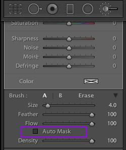 Masking Tip When you use the adjustment brush you can turn off the Auto Mask feature if you are masking large areas to