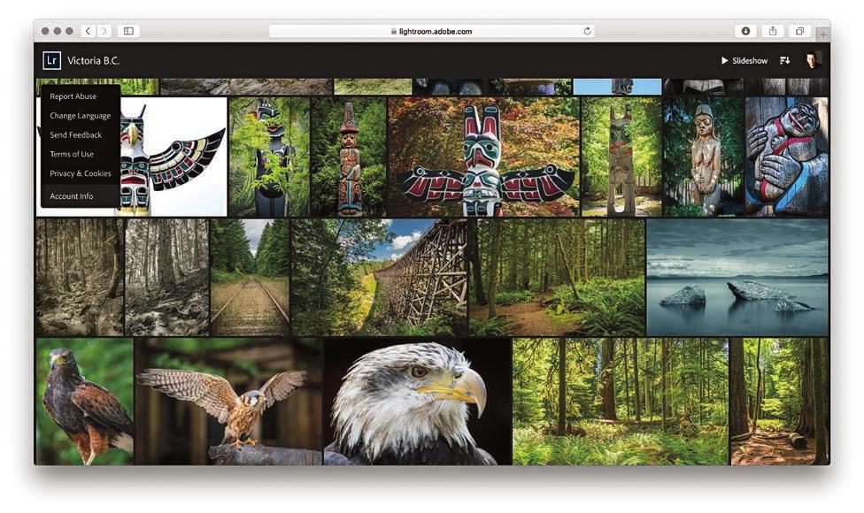 Lightroom CC for web view Lightroom CC/mobile synced albums can be made available to view on a web page.