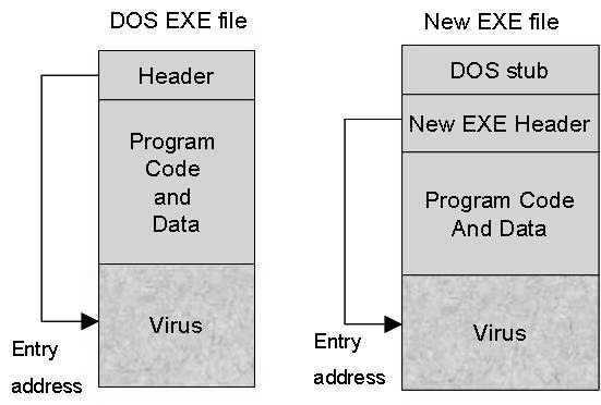 program. The following will examine the virus-infected programs structure and reflection of these virus-infected files by Self-Organizing Maps (SOMs) [5].