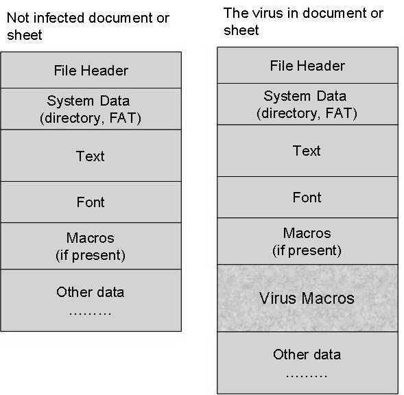 Fig. 4. Macro virus position in an infected document, and SOMs of Word97 file infected by Macro viruses. The Macro.Word97.Mbug virus is a class macro virus for Word97 documents and templates.