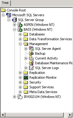 Database Creation and Upgrade Running maintenance plans The SQL Server Agent must be running in order for the maintenance plan jobs to be run.