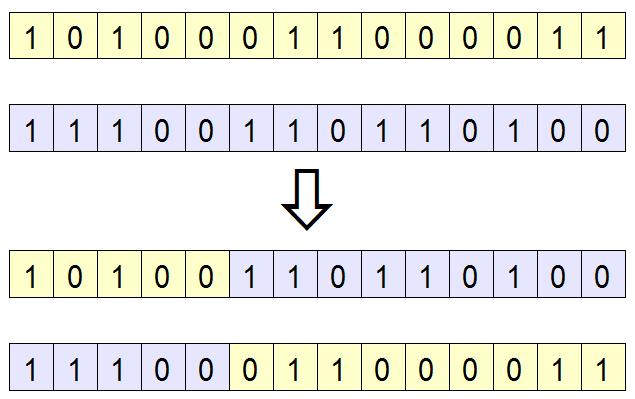 In contrast to the bitflip mutation, the number of segments within the segmentation does not change. Figure 3: Single-point crossover preserving a schema 4.
