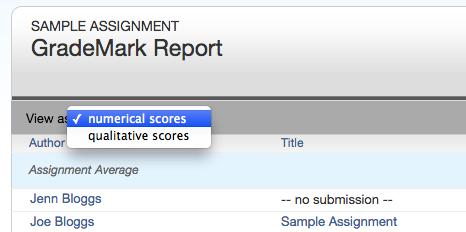 2. There are two viewing options for the rubrics tab: numerical scores or qualitative scores.