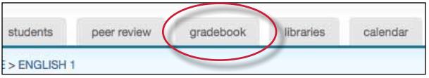Grade Book The grade book product allows an instructor to track student grades and attendance for a class. To access the grade book, click on the grade book tab.