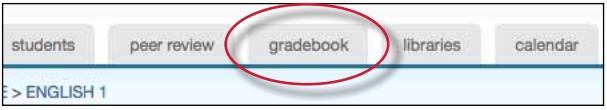 If the Turnitin grade book product has been purchased for the account, the grade book tab on the class navigation bar is available.