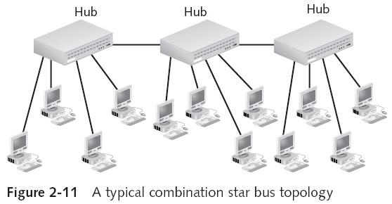 Combination Star Bus Topology Guide to