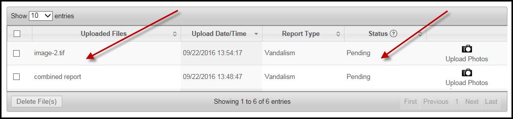 Assign the desired report type and click Upload Files again. You will see a message indicating that the upload was successful, and the file(s) will be reflected in the Uploaded Files section.