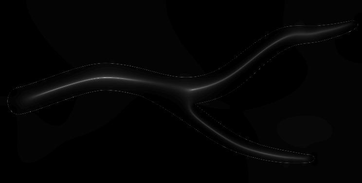 (b) Gradient vector flow derived from the edge map used as a speed function for the fast marching method.