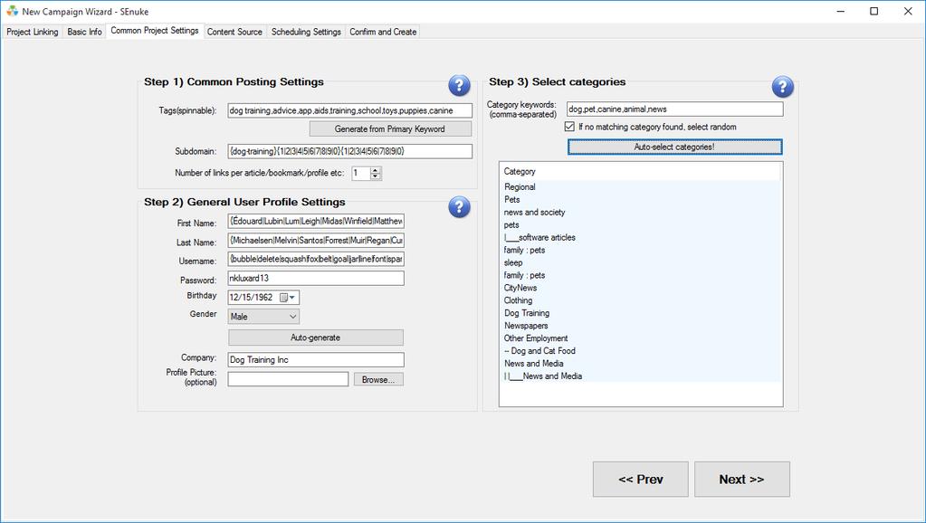 Custom Project Settings This is where the regular Wizard differs from the Turbo Wizard, you have more specific control over these elements.