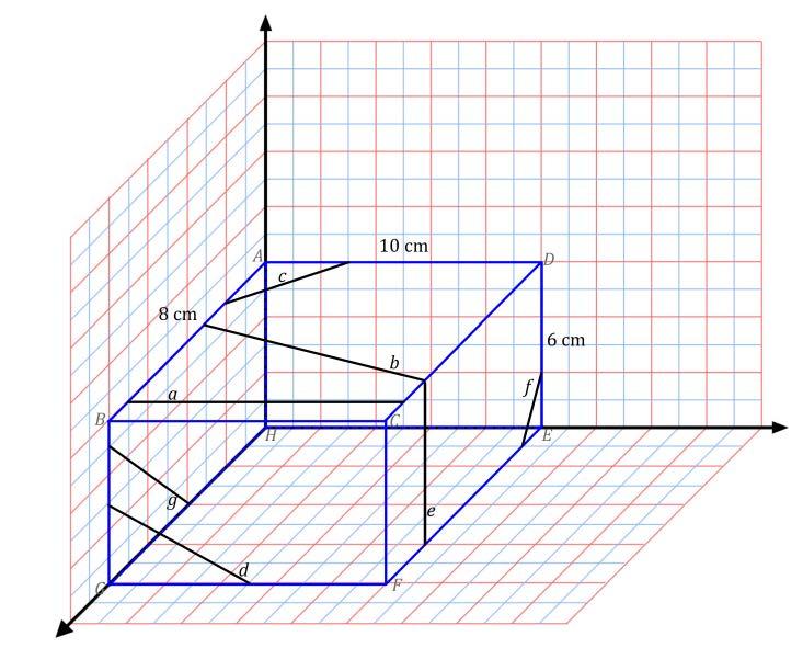 Lesson 16 - Independent Practice A right rectangular prism is shown along with line segments that lie in a face.