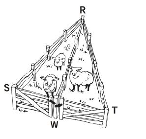 Lesson 15 Using Unique Triangles to Solve Real-World and Mathematical Problems Essential Questions: Example 1 A triangular fence with two equal angles, S= T, is used to enclose some sheep.
