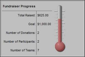 The Fundraiser Summary section displays summary statistics for multiple Fundraisers including the fundraiser goal, participant goal, total amount raised, total number of fundraisers, total teams,