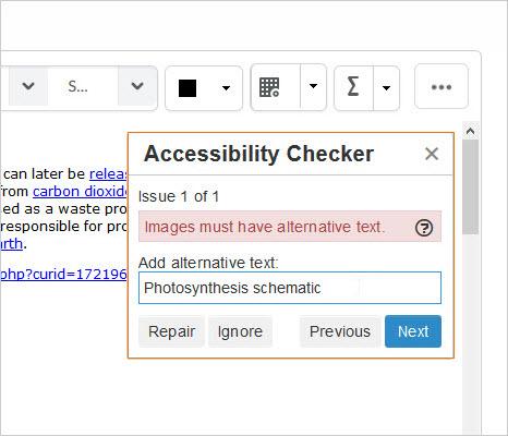 Figure: If the accessibility checker finds an issue, it indicates how the content does not meet guidelines and suggests a way to fix the issue Note that the accessibility checker does not check