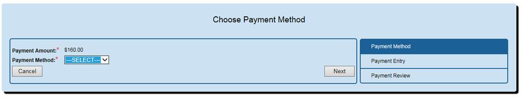 Choose Payment Method - At this point, you will be taken to an external payment processor to process your secure online payment.