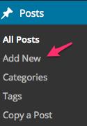 Once you have found a theme you want to try, search for it in the dashboard area. 5. Posts/Blogging/News Posts vs.