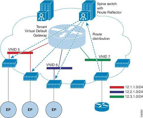 Router Peering and Route Distribution Cisco ACI Forwarding Router Peering and Route Distribution As shown in the figure below, when the routing peer model is used, the leaf switch interface is