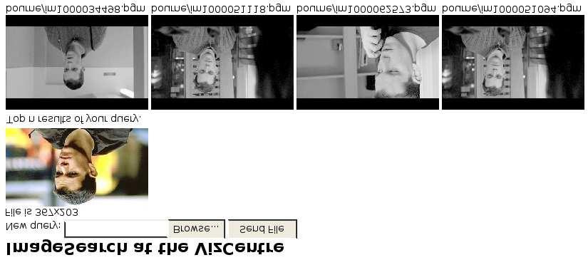 The camera is directly connected to the laptop via firewire. The captured frames are shown on the top left, and the top of the query is displayed on the bottom right.