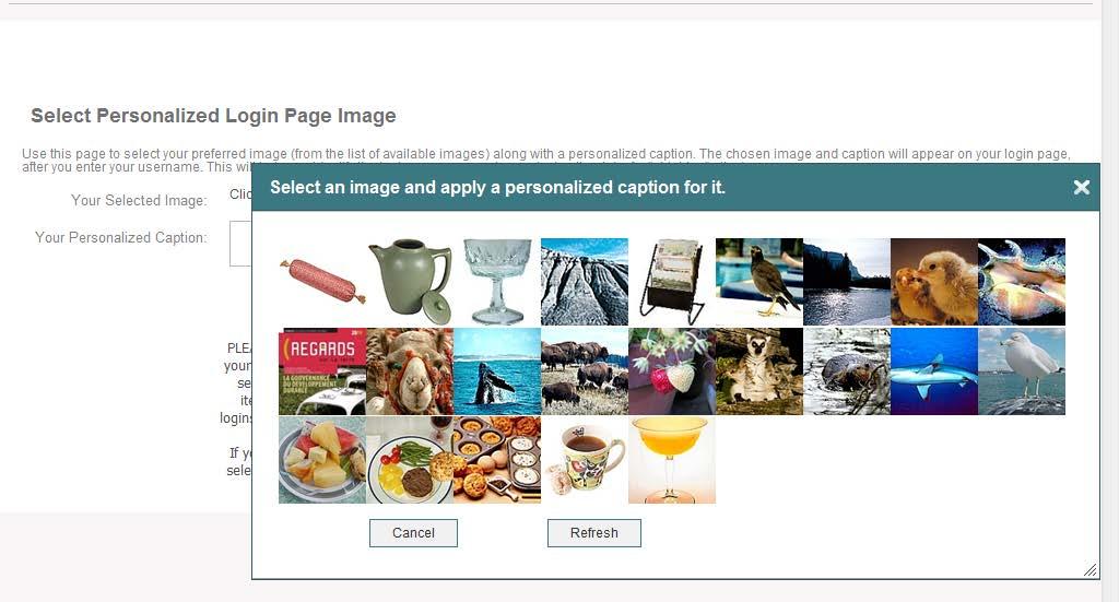 You must select an image and provide a personalized caption. Both will become part of your login process from this point forward.