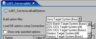 Build Parts Build Descriptors The set of applicable options varies: By language being generated (Java vs. COBOL) By target system (iseries, CICS, IMS, Batch, etc.
