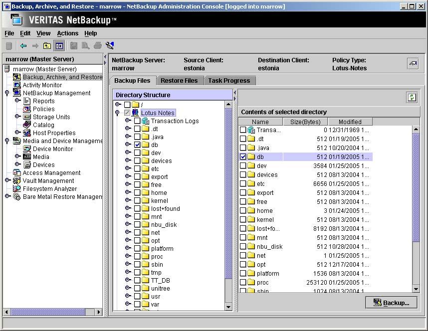 Performing a User-Directed Backup The Lotus Notes object is displayed in the left pane.