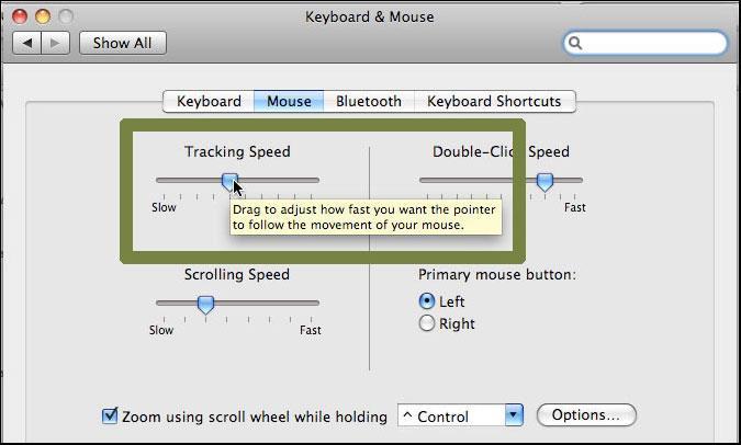 Step 4. Use your mouse to click on the Mouse tab or press Control and F7 and then the right arrow key to highlight the Mouse tab and then press the spacebar. Step 5.