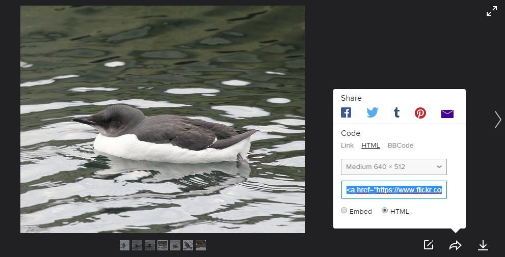 and then select either Embed or HTML at the bottom. HTML is recommended since it is a little more stable within ebird.