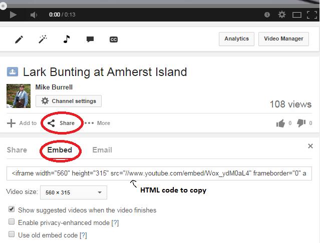 Figure 3: grabbing the link from YouTube After you have uploaded your video to YouTube, click the Share button and then click the Embed option (Figure 3).