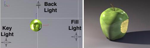 The Back Light or Rim Light This light is used to help separate the object from the background.