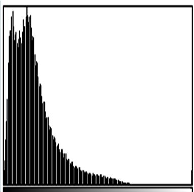 Contrast Enhancement: Stretching Mode Value of the cumulative histogram to use as maximum (1023DN) in the Stretching Minimum amount of histogram bins to use in stretching