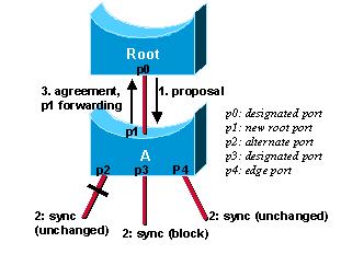 More Complicate RSTP Proposal and Agreement Process Suppose a new link is created between the root and Switch A.