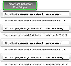 Configure PVST+ The topology shows three switches with 802.1Q trunks connecting them. The goal is to configure S3 as the root bridge for VLAN 20 and S1 as the root bridge for VLAN 10.