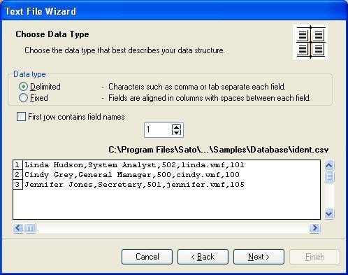 Using Text File Wizard Text File Wizard When the input database file is a plain ASCII text file or formatted CSV (Comma Separated Values), Text File Wizard will be started within Database Wizard and