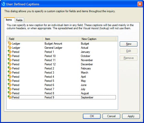 User Defined Captions 106.1 Overview A User Defined Caption allows you to define a custom caption for a field.