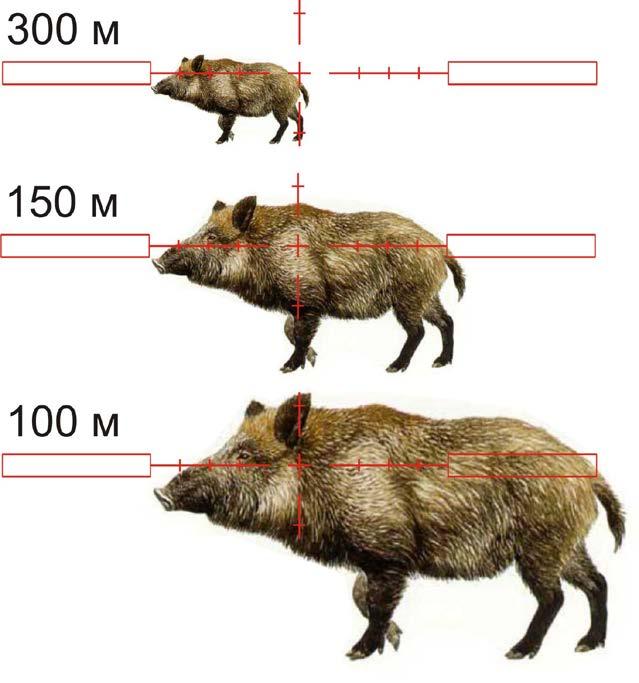 The Figure 6 shows an example of distance estimation to a boar, which is 1.