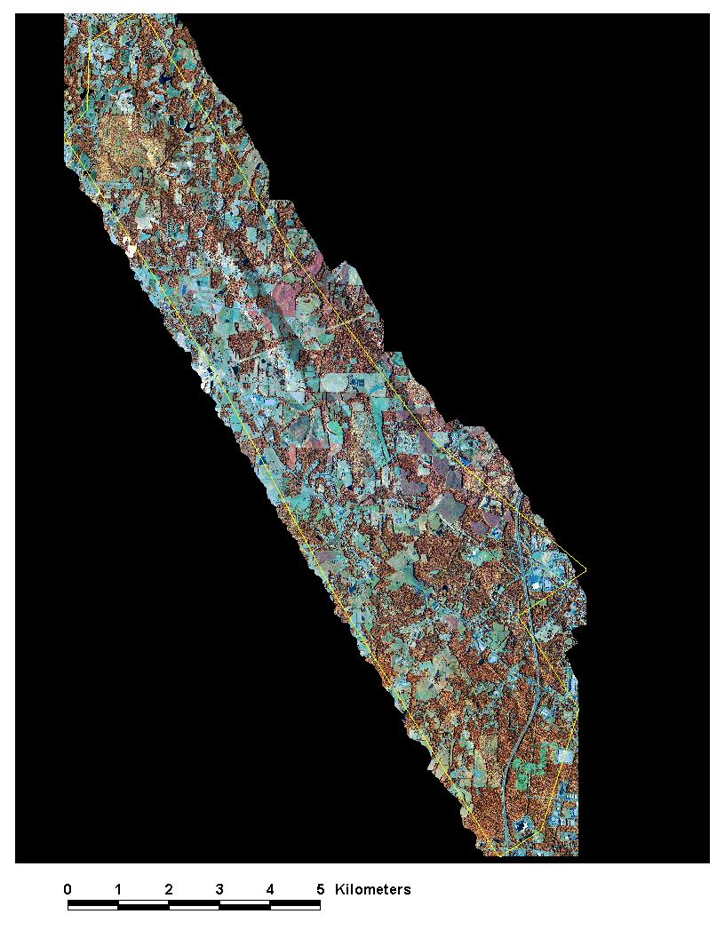 CASI mosaics of DOT project area Spatial res: 1m #