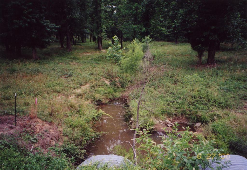 Site 15, Wetland