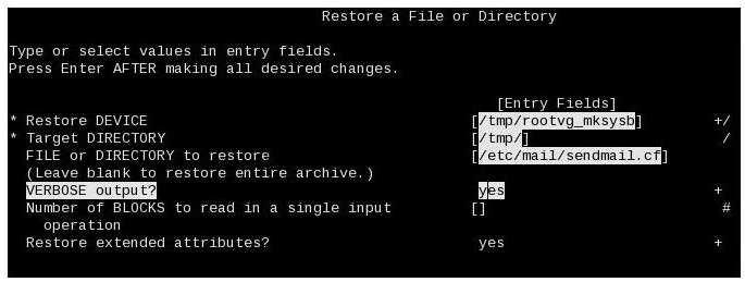 Why does the SMIT panel above fail to find and restore the required file? A. The file to restore must be correctly delimited relative to the backup B.