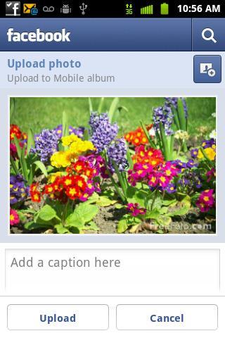 Share Photos on Facebook for Android You need to be logged in to your Facebook account to upload photos. When using Facebook for Android, you can only upload one photo at a time. 1. Press and tap >.