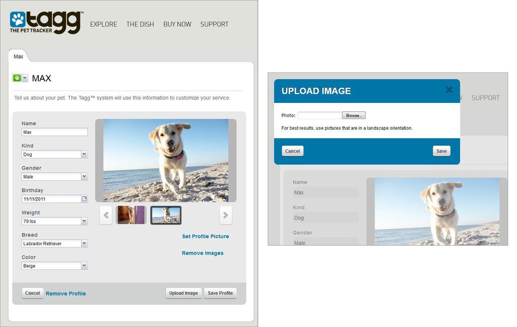 BASIC SETUP Step III: Personalize Your Pet's Profile You can personalize your Tagg account by customizing your pet profile. 1. To create a new pet profile, click Add A Pet. 2.