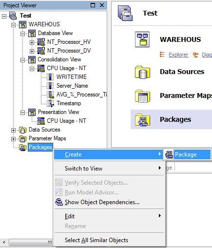 5.12. Create a package and publish it. Right click Packages. Click on Create->Package. 5.12.1. Enter Test Package as the package name. Click Next. 5.12.2. Select the Database and Consolidation Views in the hidden mode and the Presentation View in the full selection mode.