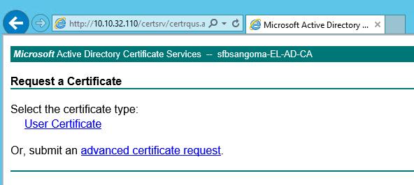 13. On the Advanced Certificate Request page click Submit a