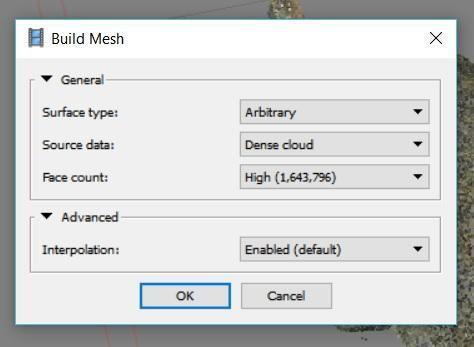 2. The Build Mesh dialog will appear, select the following settings a. Surface type: Arbitrary b.