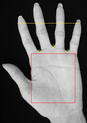 (a) (b) Figure 3: Extraction of hand features: (a) Control points detected in the hand image (b) Length features calculated with