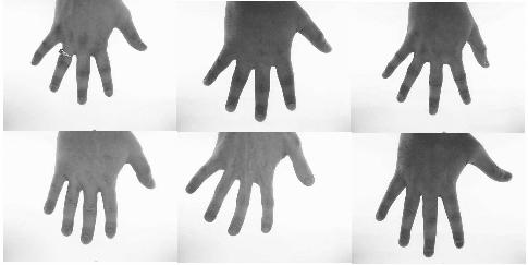 lengths and widths are characterized by the bone structure that are time-invariant, after your growth period. During the enrollment phase, 3 hand images of the user are collected.