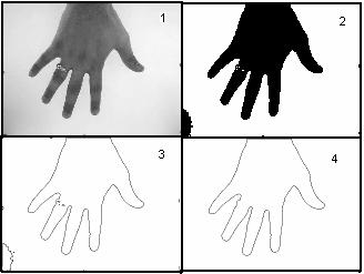 4. Feature Extraction: The hand-geometry verification system uses the features of the hand for authenticating the user. The features of the hand include the width and height of the fingers.
