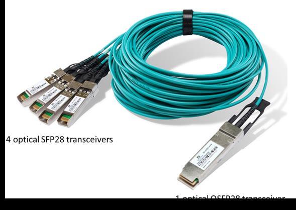 Figure 7: 00 GE to 4*25 GE break-out cable DAC and AOC break out cables are available for electrical and optical interfaces, where 40 Gbps and 00 Gbps signals are sent as 4 (or 0) physical signals.