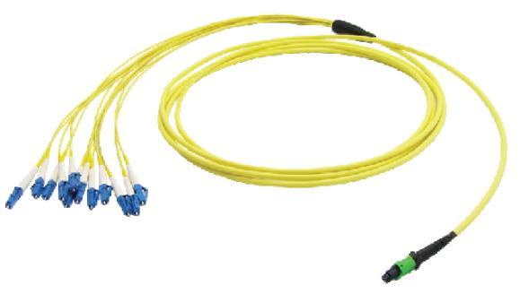 3,8mm MMF 3 m 2 Table 2: Cables and splitters available from Xena As you can see in table 2, splitter cables are equipped with MTP (MPO) connectors.