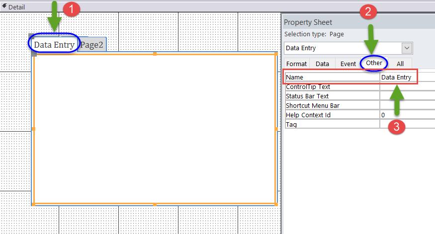 c) Click the Page1 tab, click Other tab of Property Sheet & change the Name property value to Data Entry.